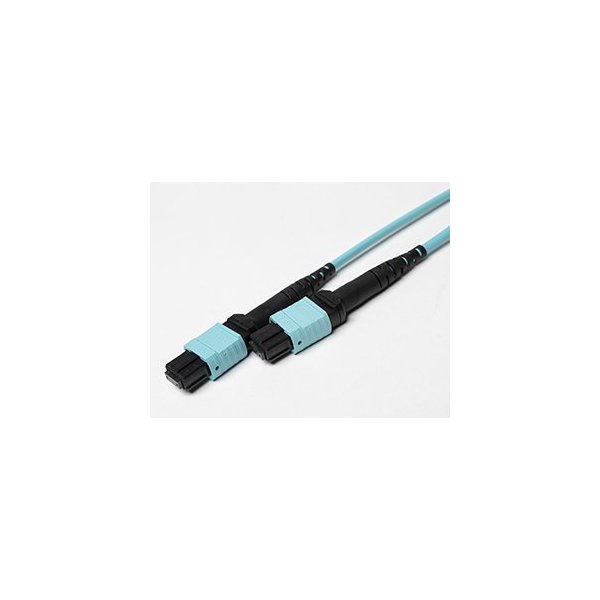OM3 MTP to MTP 12 Strand Female Multi-Fiber Patch Cable 10Gb Multimode